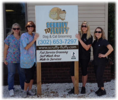 About Scruffy To Fluffy