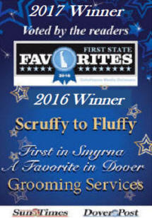 About Scruffy To Fluffy